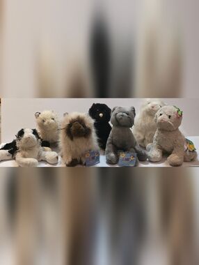 Ultimate Webkinz Cat Lot (7) Charcoal & Himalayan WITH CODES - Rare Pretty Kitty